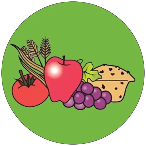 Food Fantasies logo favicon