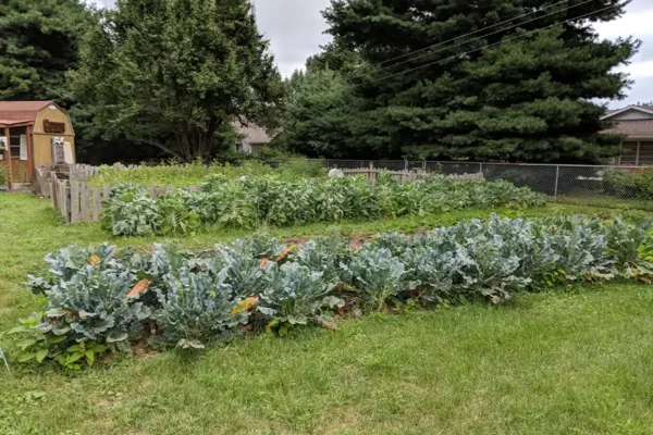Bland-family-farm-gallery-02
