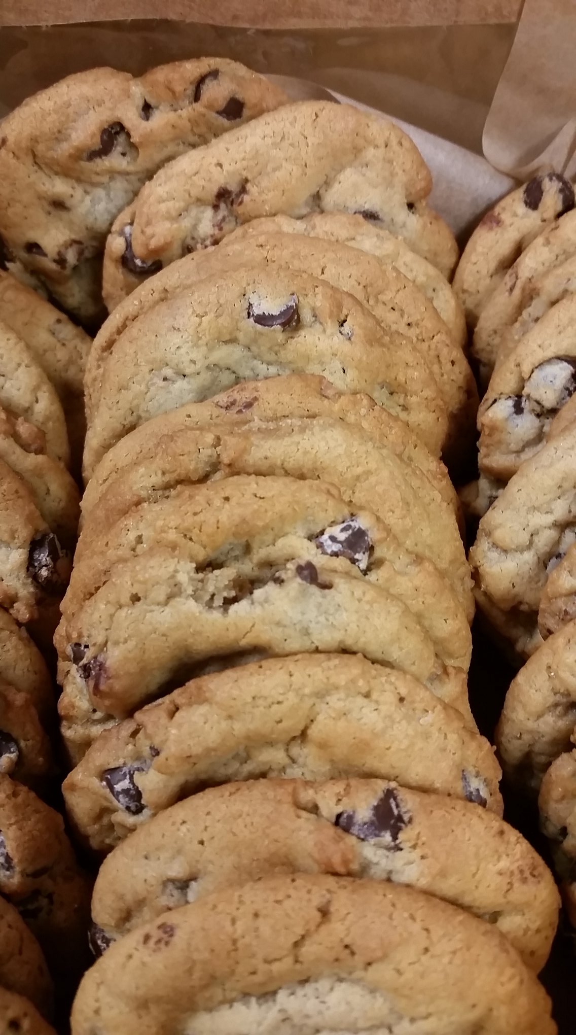 chocolate chip cookies